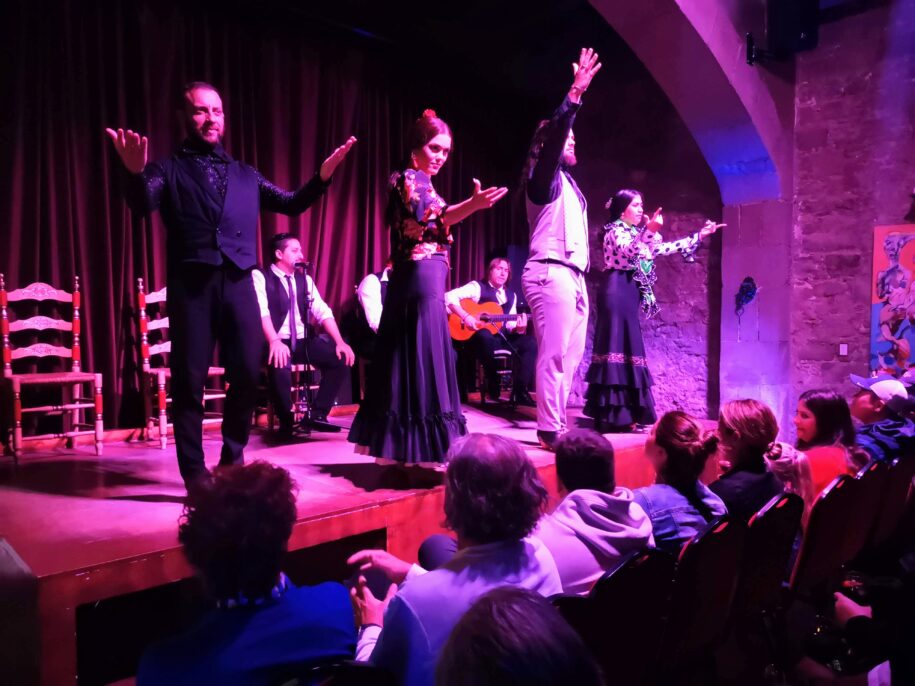 Flamenco00