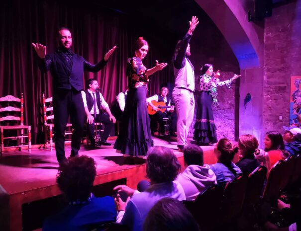 Flamenco00